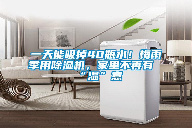 一天能吸掉40瓶水！梅雨季用除濕機，家里不再有“濕”意