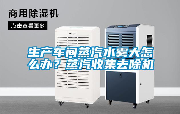 生產(chǎn)車間蒸汽水霧大怎么辦？蒸汽收集去除機(jī)