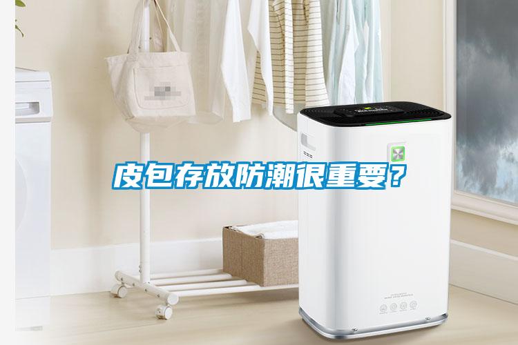 皮包存放防潮很重要？