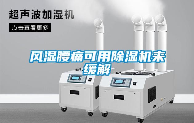 風(fēng)濕腰痛可用除濕機(jī)來(lái)緩解