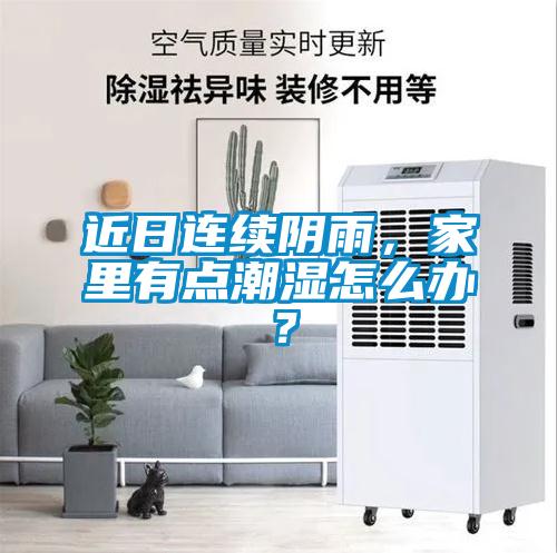 近日連續(xù)陰雨，家里有點潮濕怎么辦？