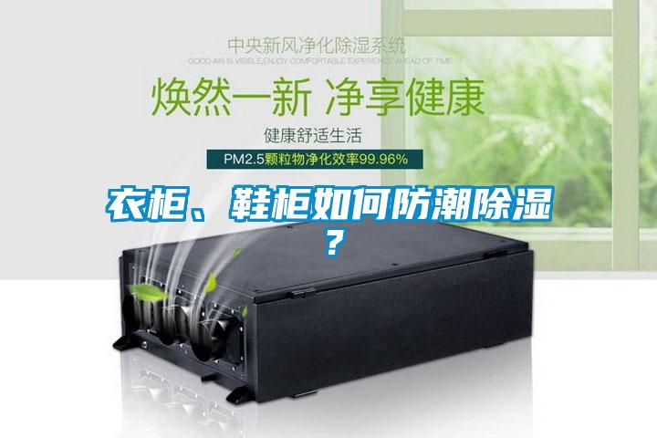 衣柜、鞋柜如何防潮除濕？