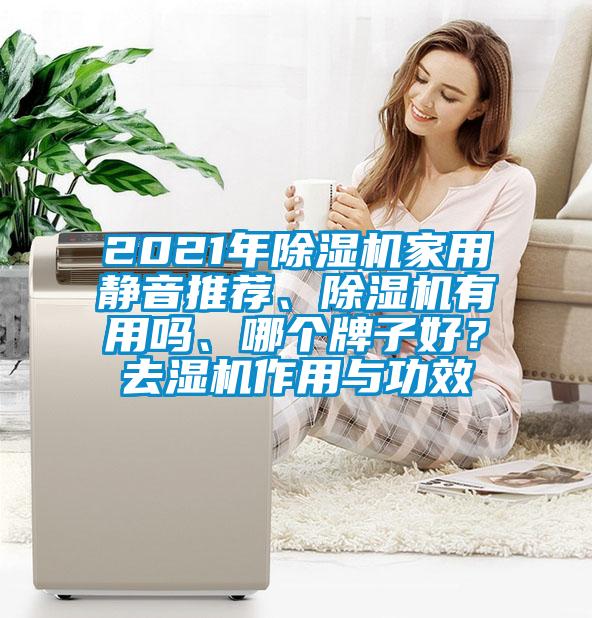 2021年除濕機(jī)家用靜音推薦、除濕機(jī)有用嗎、哪個(gè)牌子好？去濕機(jī)作用與功效