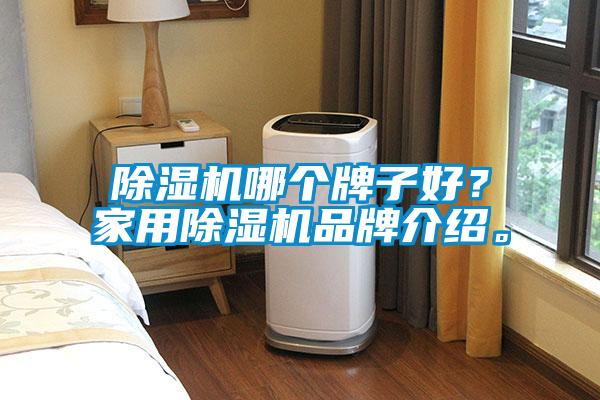 除濕機哪個牌子好？家用除濕機品牌介紹。