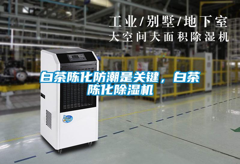 白茶陳化防潮是關鍵，白茶陳化除濕機