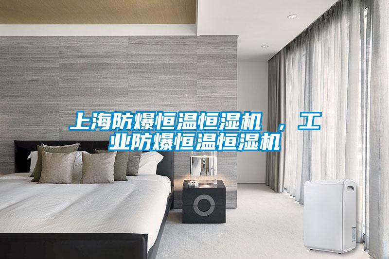 上海防爆恒溫恒濕機(jī) ，工業(yè)防爆恒溫恒濕機(jī)