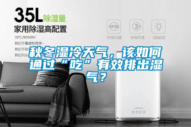秋冬濕冷天氣，該如何通過“吃”有效排出濕氣？