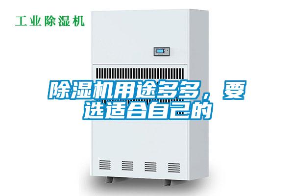 除濕機用途多多，要選適合自己的
