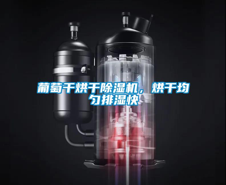 葡萄干烘干除濕機，烘干均勻排濕快