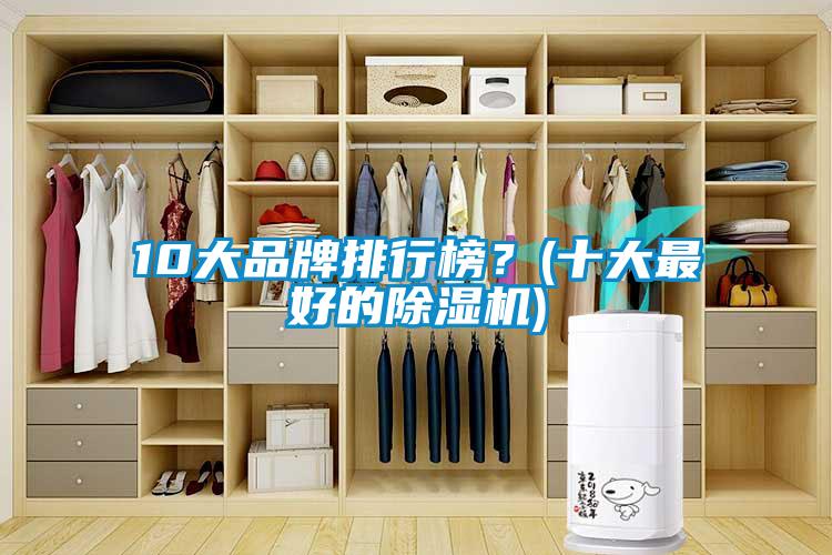 10大品牌排行榜？(十大最好的除濕機)
