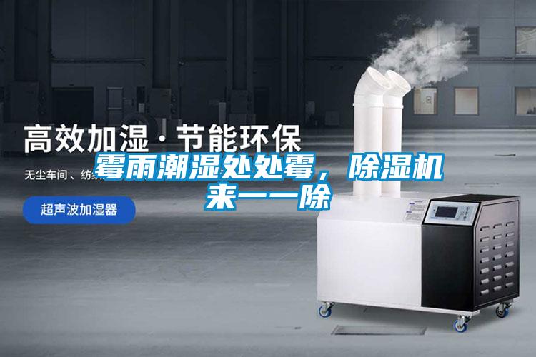 霉雨潮濕處處霉，除濕機(jī)來(lái)一一除