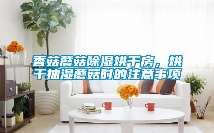 香菇蘑菇除濕烘干房，烘干抽濕蘑菇時(shí)的注意事項(xiàng)