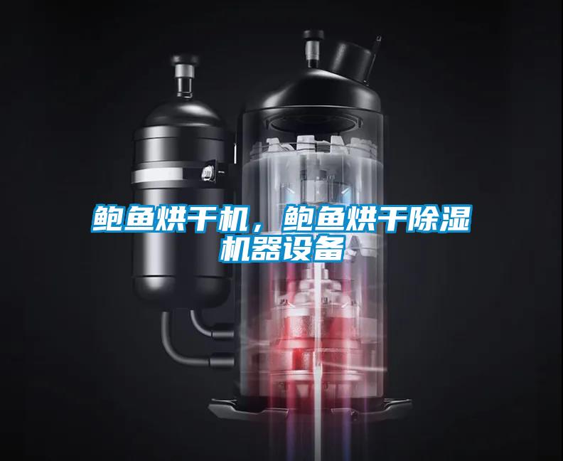 鮑魚烘干機(jī)，鮑魚烘干除濕機(jī)器設(shè)備