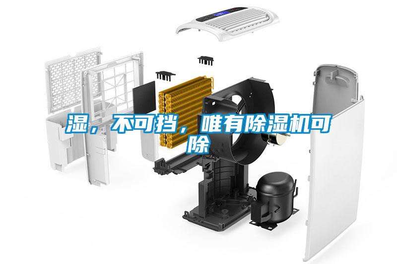 濕，不可擋，唯有除濕機(jī)可除