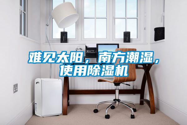 難見太陽，南方潮濕，使用除濕機