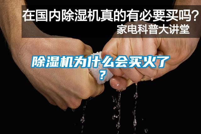 除濕機為什么會買火了？