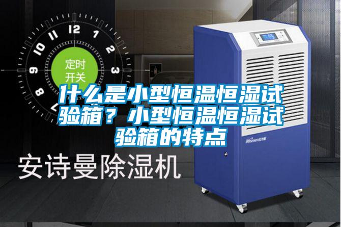 什么是小型恒溫恒濕試驗箱？小型恒溫恒濕試驗箱的特點