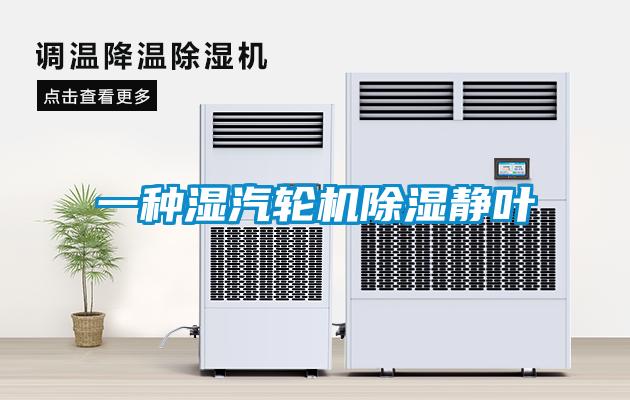 一種濕汽輪機(jī)除濕靜葉
