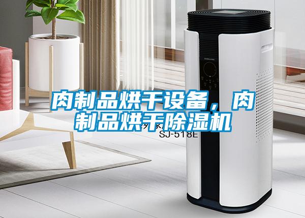 肉制品烘干設備，肉制品烘干除濕機