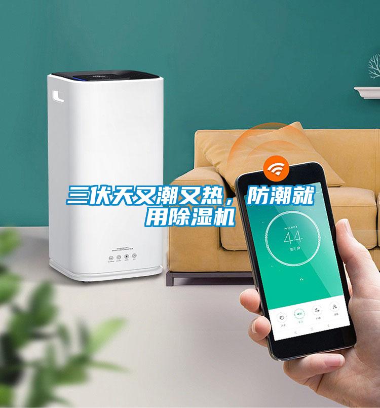 三伏天又潮又熱，防潮就用除濕機(jī)
