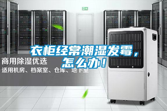 衣柜經(jīng)常潮濕發(fā)霉，怎么辦！