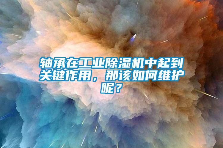 軸承在工業(yè)除濕機中起到關(guān)鍵作用，那該如何維護呢？