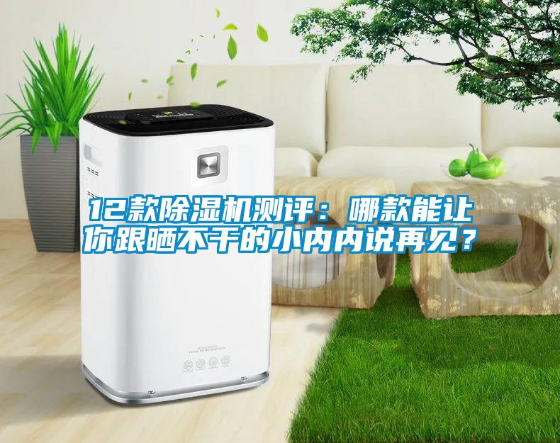 12款除濕機測評：哪款能讓你跟曬不干的小內內說再見？