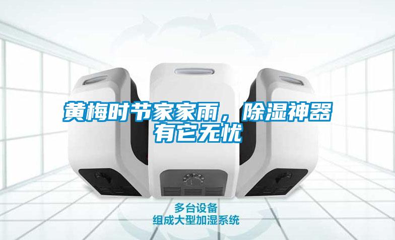 黃梅時(shí)節(jié)家家雨，除濕神器有它無(wú)憂