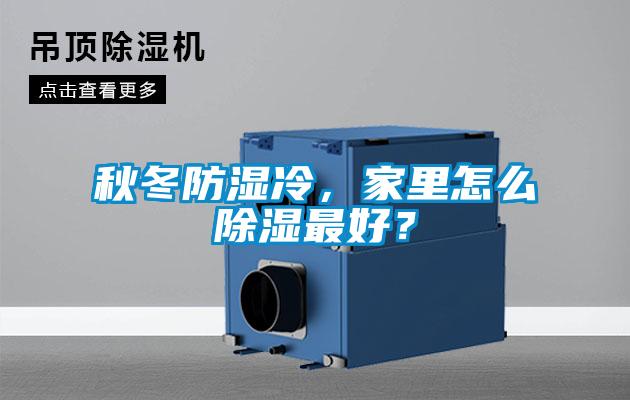秋冬防濕冷，家里怎么除濕最好？