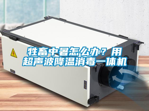 牲畜中暑怎么辦？用超聲波降溫消毒一體機(jī)