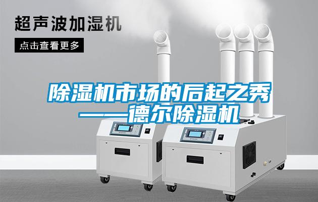 除濕機(jī)市場的后起之秀——德爾除濕機(jī)