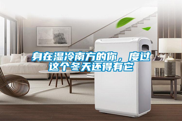 身在濕冷南方的你，度過(guò)這個(gè)冬天還得有它