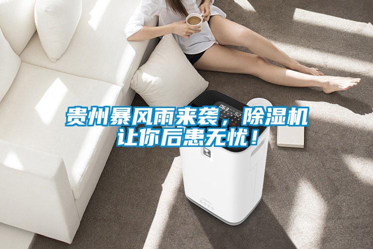 貴州暴風雨來襲，除濕機讓你后患無憂！