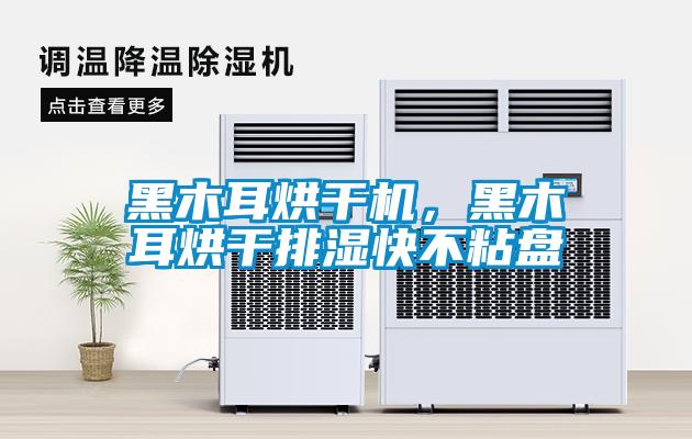 黑木耳烘干機(jī)，黑木耳烘干排濕快不粘盤