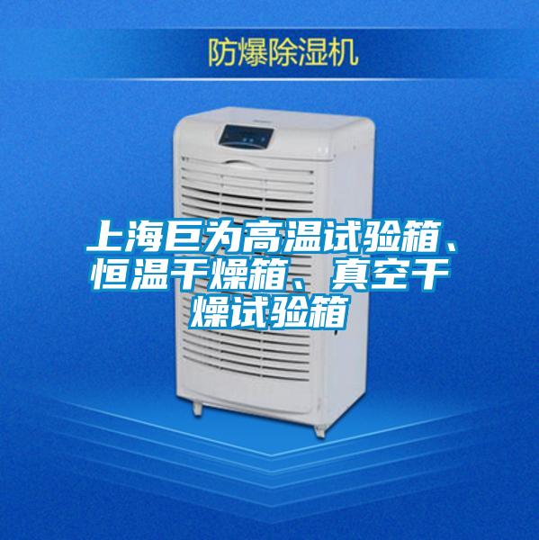上海巨為高溫試驗箱、恒溫干燥箱、真空干燥試驗箱