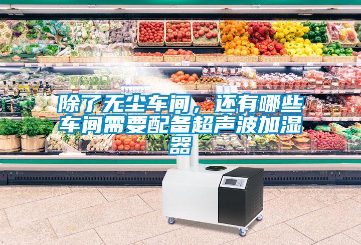 除了無(wú)塵車(chē)間，還有哪些車(chē)間需要配備超聲波加濕器