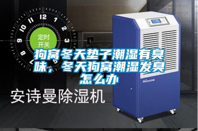 狗窩冬天墊子潮濕有臭味，冬天狗窩潮濕發(fā)臭怎么辦