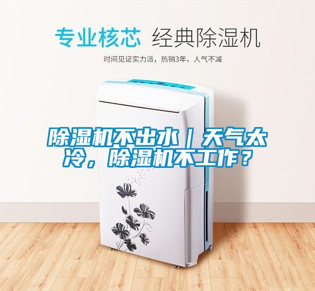 除濕機(jī)不出水｜天氣太冷，除濕機(jī)不工作？