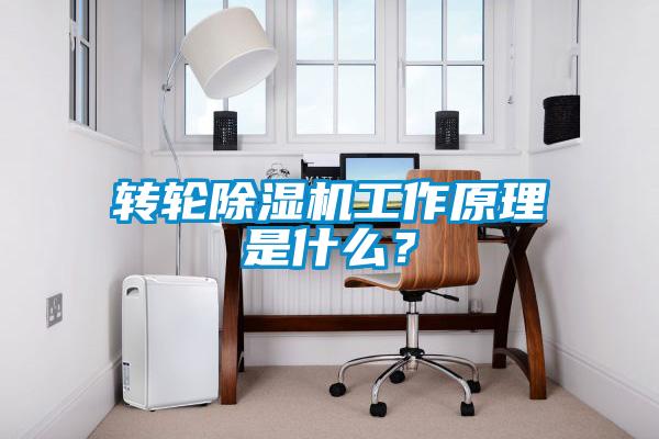 轉(zhuǎn)輪除濕機(jī)工作原理是什么？