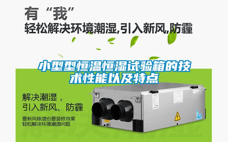 小型型恒溫恒濕試驗(yàn)箱的技術(shù)性能以及特點(diǎn)