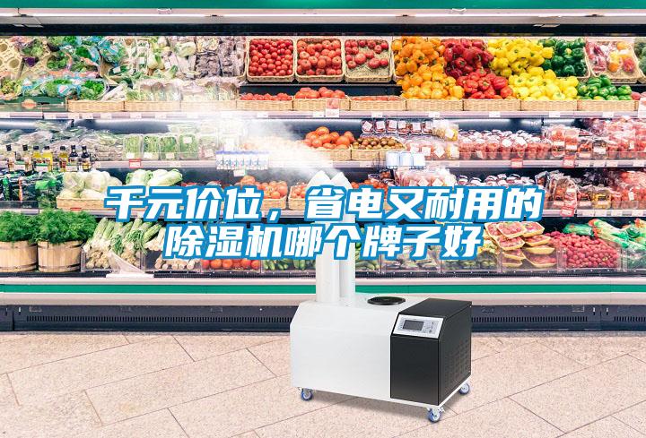 千元價(jià)位，省電又耐用的除濕機(jī)哪個(gè)牌子好