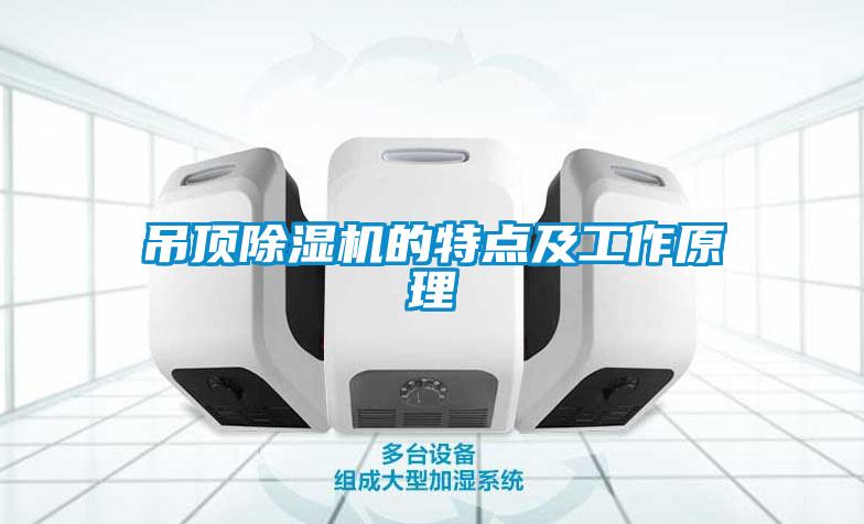 吊頂除濕機(jī)的特點及工作原理