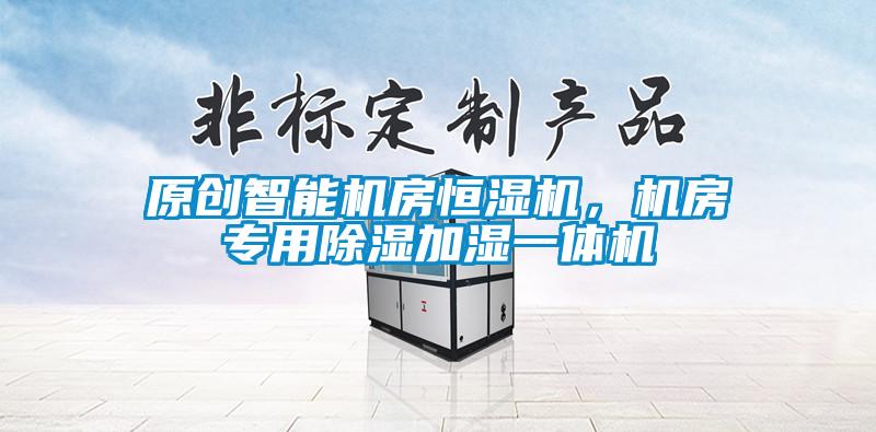 原創(chuàng)智能機房恒濕機，機房專用除濕加濕一體機
