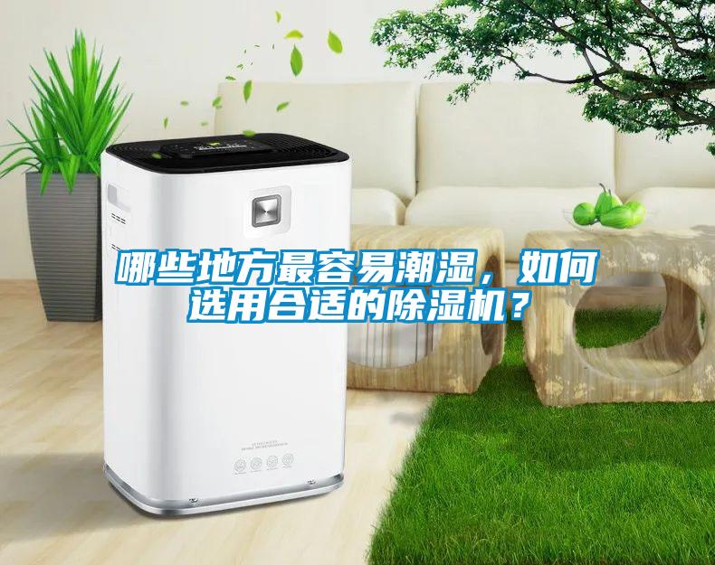 哪些地方最容易潮濕，如何選用合適的除濕機(jī)？