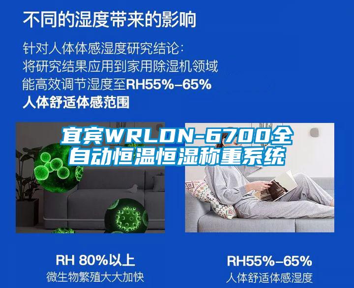 宜賓WRLDN-6700全自動(dòng)恒溫恒濕稱(chēng)重系統(tǒng)