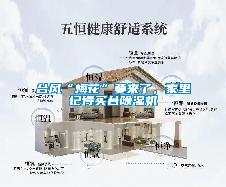 臺風(fēng)“梅花”要來了，家里記得買臺除濕機