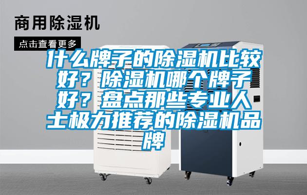 什么牌子的除濕機比較好？除濕機哪個牌子好？盤點那些專業(yè)人士極力推薦的除濕機品牌