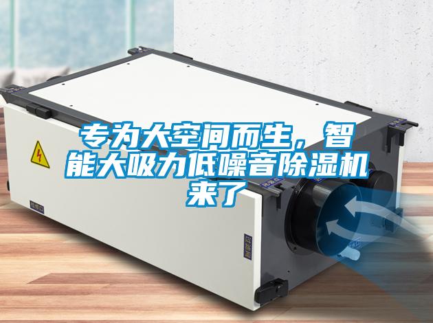 專為大空間而生，智能大吸力低噪音除濕機(jī)來了