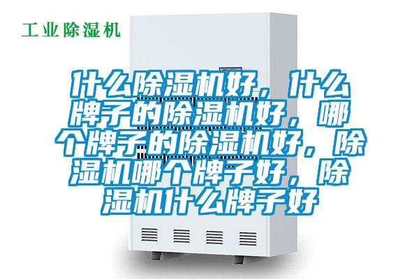 什么除濕機(jī)好，什么牌子的除濕機(jī)好，哪個牌子的除濕機(jī)好，除濕機(jī)哪個牌子好，除濕機(jī)什么牌子好