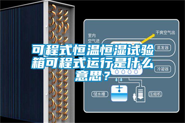 可程式恒溫恒濕試驗箱可程式運行是什么意思？